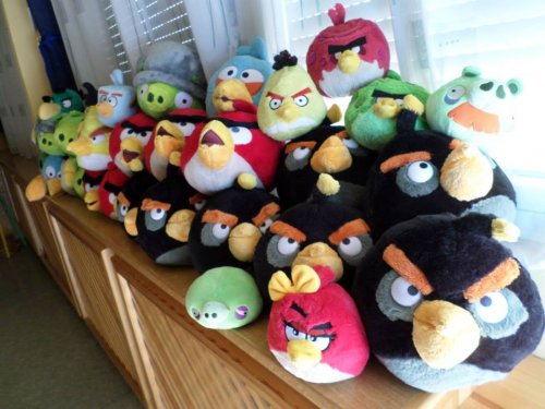 "Angry birds"  találkozó