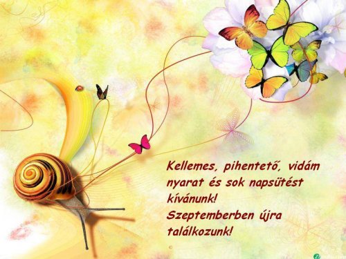 Köszöntő!